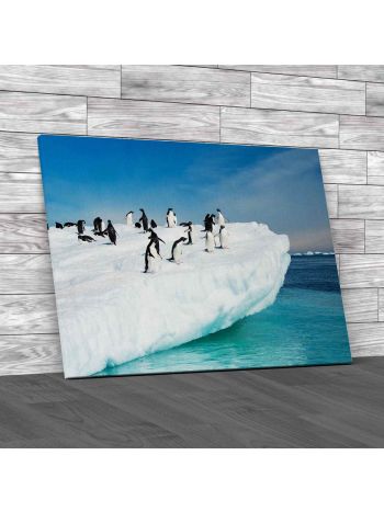 Adelie Penguins Canvas Print Large Picture Wall Art