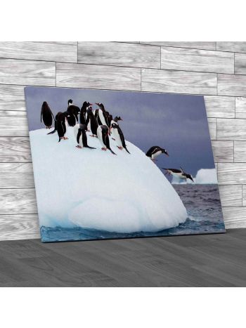 Jumping Penguins On Iceberg Canvas Print Large Picture Wall Art