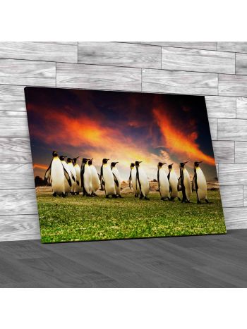 King Penguins In The Falkland Islands Canvas Print Large Picture Wall Art