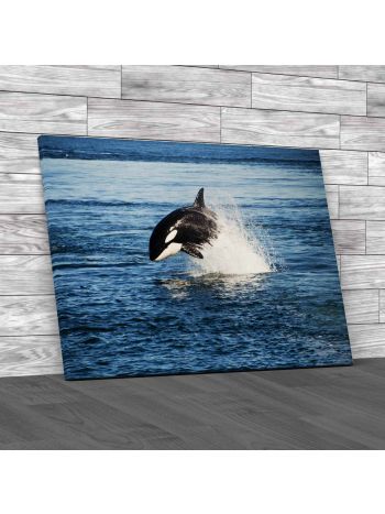 Killer Whale Canvas Print Large Picture Wall Art