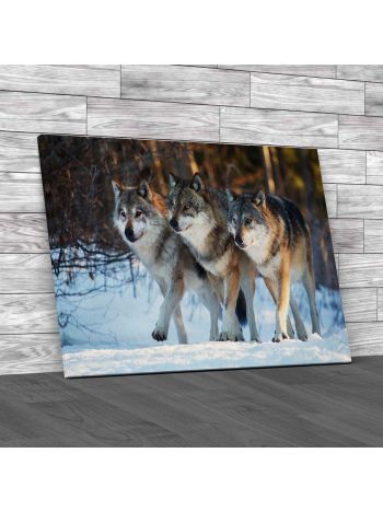 Three Wolves Marching Together Canvas Print Large Picture Wall Art