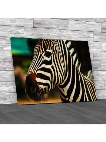 Zebra Canvas Print Large Picture Wall Art