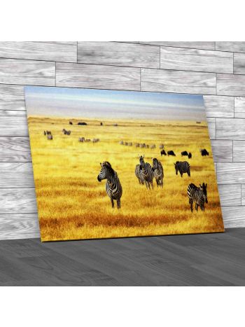 Zebras Walking On The Savannah Canvas Print Large Picture Wall Art