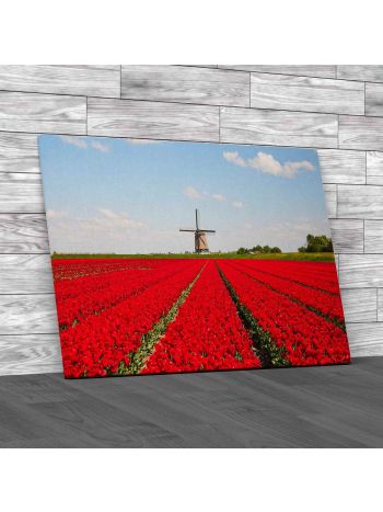 Tulips And Windmill Canvas Print Large Picture Wall Art