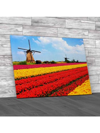 Tulips Field With Windmills Canvas Print Large Picture Wall Art
