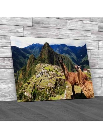 Llama At Lost City Of Machu Picchu Canvas Print Large Picture Wall Art