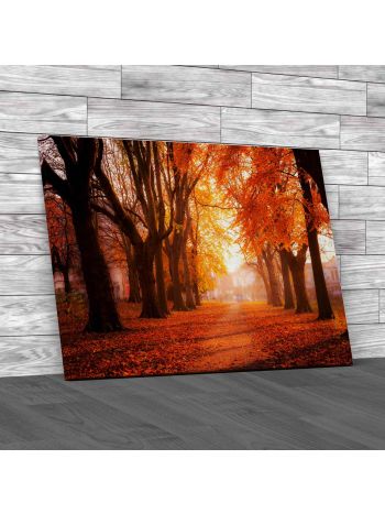 Autumn Colors At Whitworth Park In Manchester Canvas Print Large Picture Wall Art