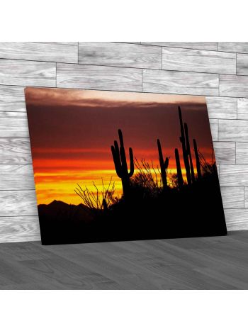 Saguaro And Ocotillo Silhouetten Canvas Print Large Picture Wall Art