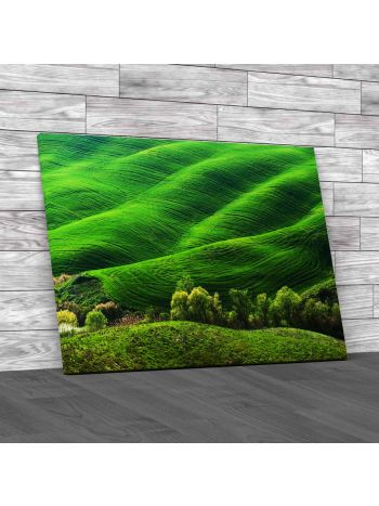 Hills Of Tuscany Italy Canvas Print Large Picture Wall Art