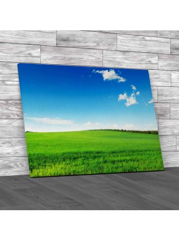 Green Field And Blue Sky Canvas Print Large Picture Wall Art