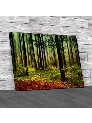Autumn Forest Canvas Print Large Picture Wall Art