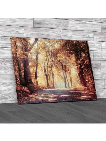 Autumn Trees In Sunbeams Canvas Print Large Picture Wall Art