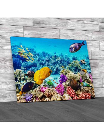 Corals And Fishes Canvas Print Large Picture Wall Art