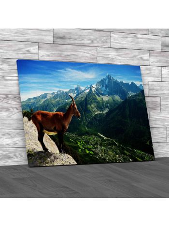 Mountain Goat Canvas Print Large Picture Wall Art