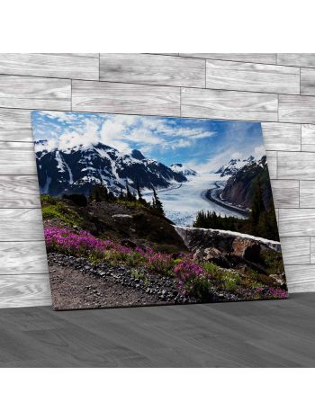 Salmon Glacier At Hyder Alaska Canvas Print Large Picture Wall Art