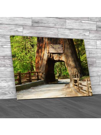 Chandelier Tree Yosemite National Park Canvas Print Large Picture Wall Art