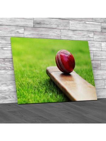 Cricket Ball Resting On A Cricket Bat Canvas Print Large Picture Wall Art