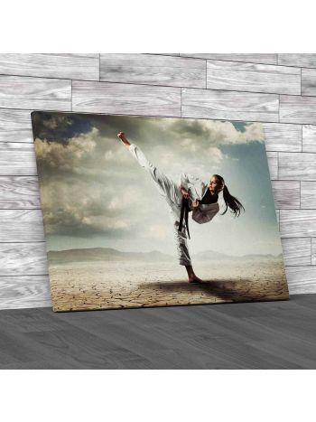 Karate Girl Kick Canvas Print Large Picture Wall Art