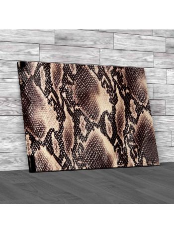 Brown Snake Skin Canvas Print Large Picture Wall Art