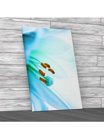 Light Tropical Flower Canvas Print Large Picture Wall Art