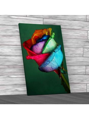 Floral Rare Rose Flower 3 Canvas Print Large Picture Wall Art