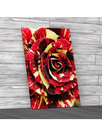 Floral Rose Petals Rare Canvas Print Large Picture Wall Art