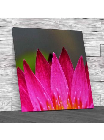 Tropical Flower Square Canvas Print Large Picture Wall Art