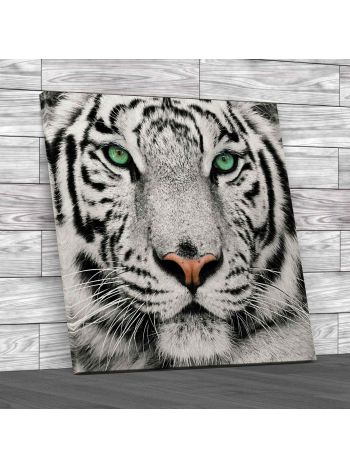 Beautiful Tiger Face Square Canvas Print Large Picture Wall Art
