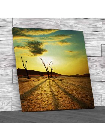 Dead Valley In Namibia Canvas Print Large Picture Wall Art