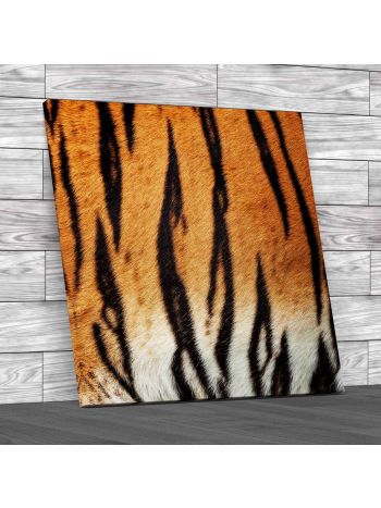 Tiger Fur Square Canvas Print Large Picture Wall Art